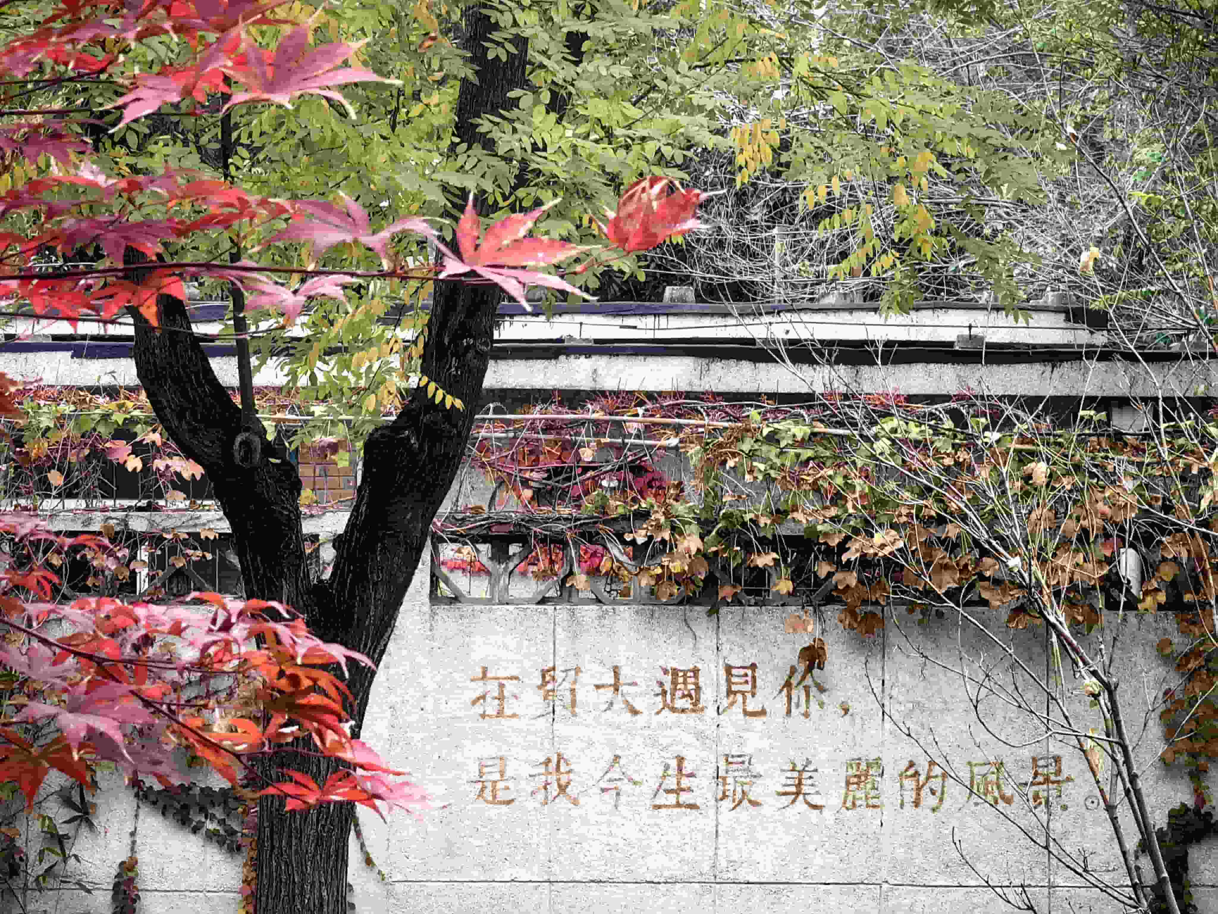 性爱视频